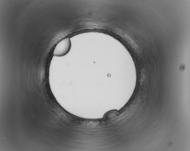 X0000116651261201001111221