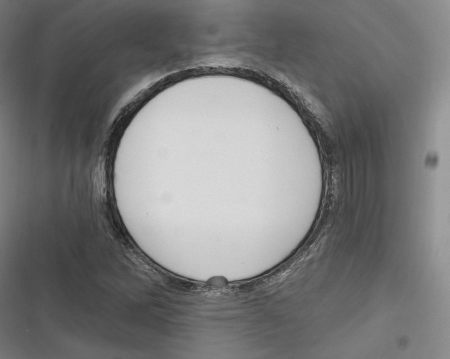 X0000116651262201001111221