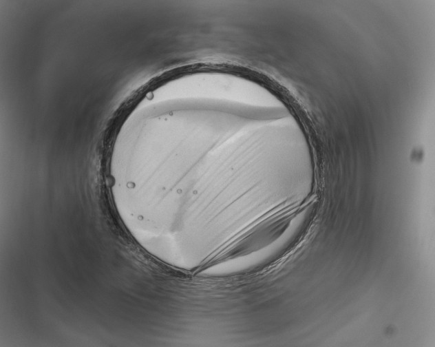 X0000116651263201001111221