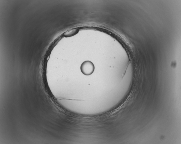 X0000116651264201001111221