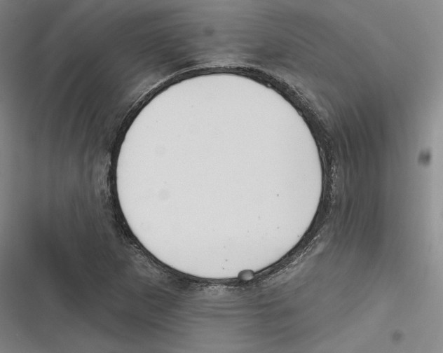 X0000116651265201001111221