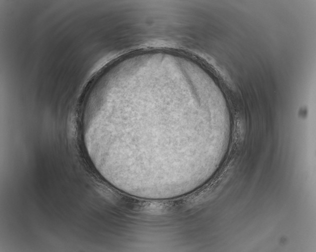 X0000116651266201001111221