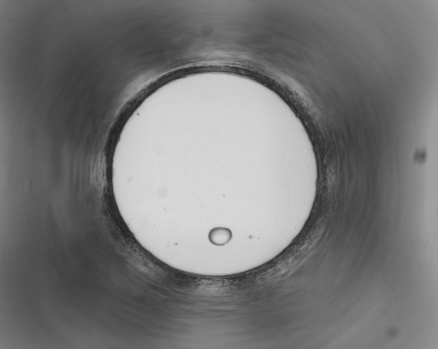 X0000116651267201001111221