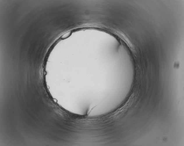 X0000116651268201001111221