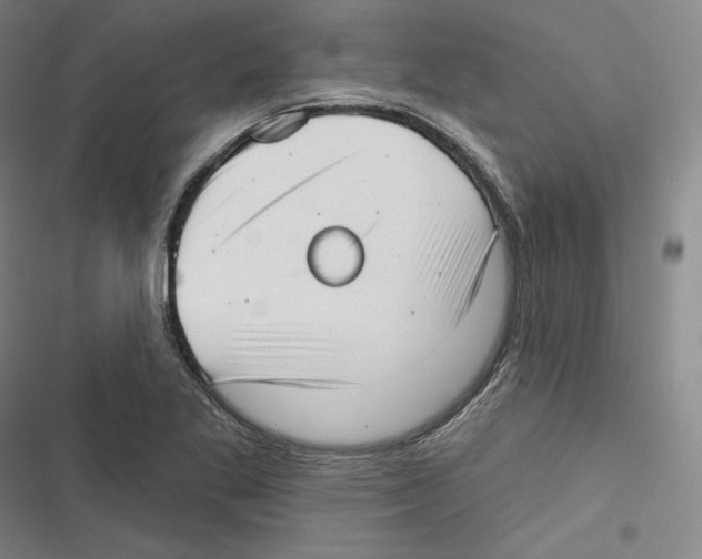 X0000116651269201001111221