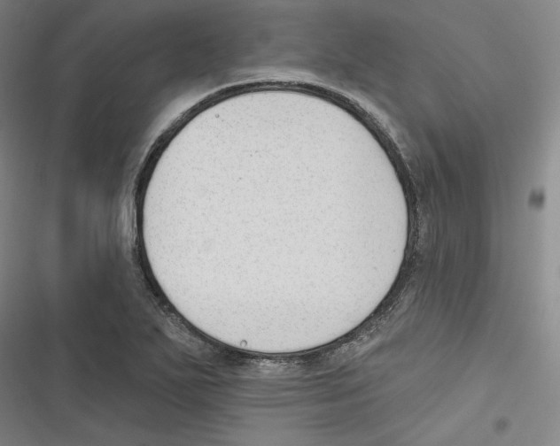 X0000116651271201001111221