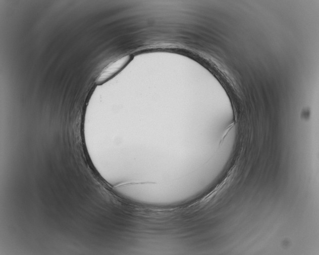 X0000116651273201001111221