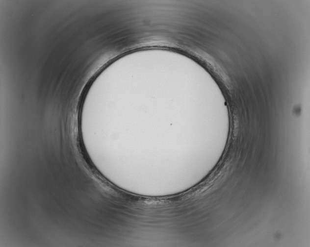 X0000116651274201001111221