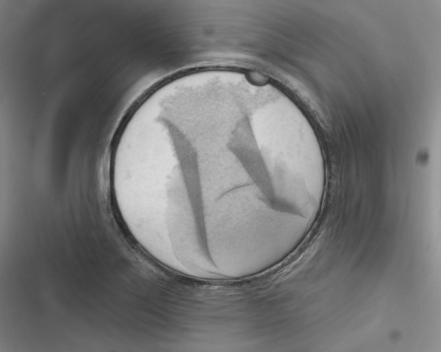 X0000116651275201001111221