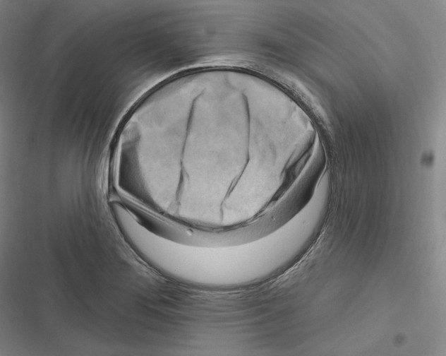 X0000116651276201001111221