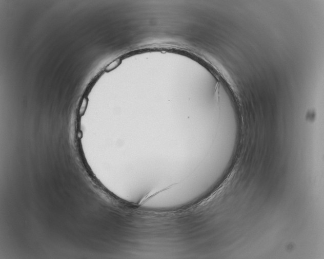 X0000116651277201001111221