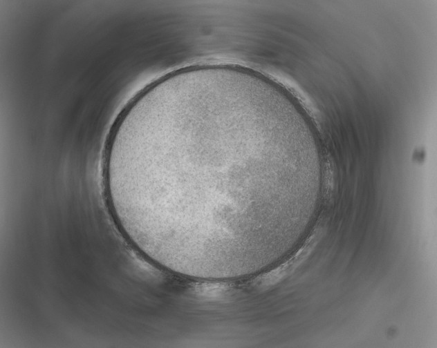 X0000116651278201001111221