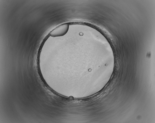 X0000116651279201001111221