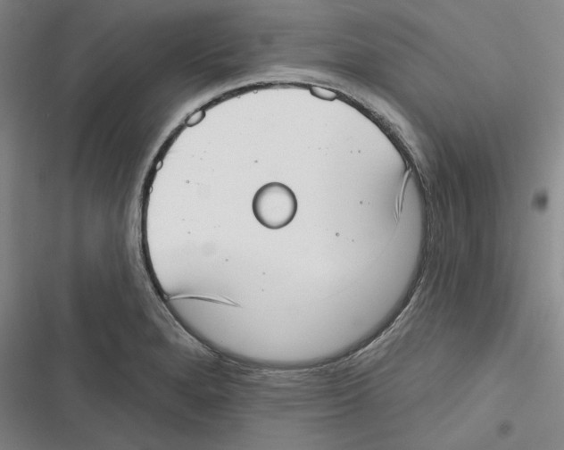 X0000116651280201001111221