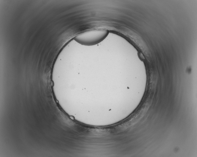 X0000116651281201001111221