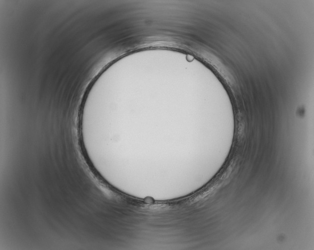 X0000116651282201001111221