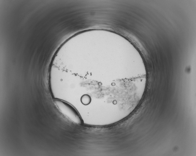 X0000116651284201001111221