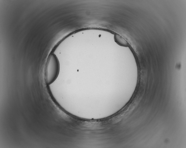 X0000116651285201001111221