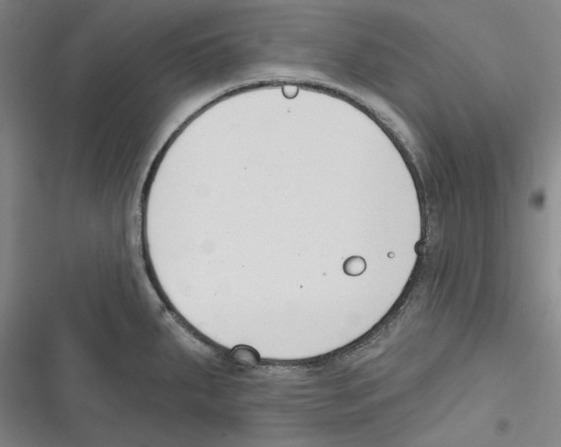 X0000116651287201001111221