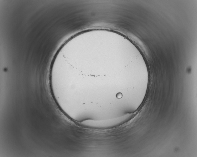 X0000116651288201001111221