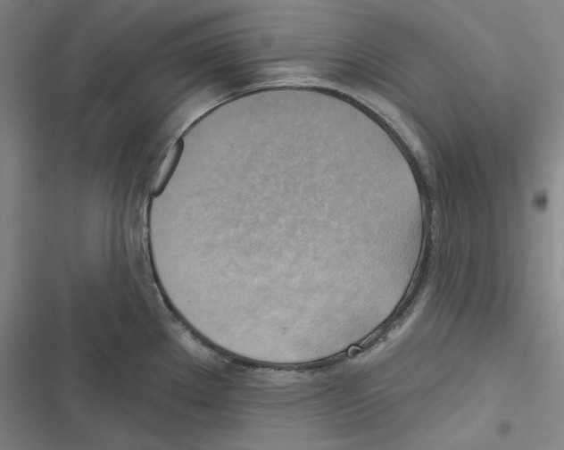 X0000116651289201001111221