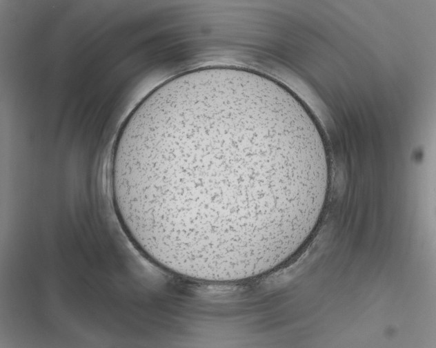 X0000116651290201001111221