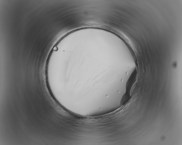 X0000116651291201001111221