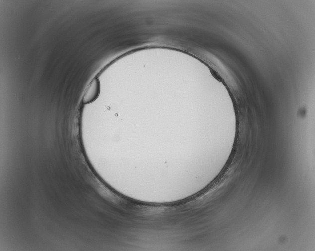 X0000116651292201001111221