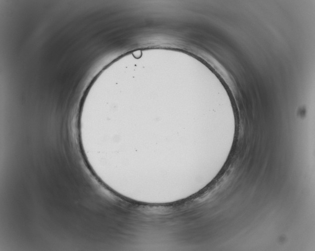 X0000116651293201001111221