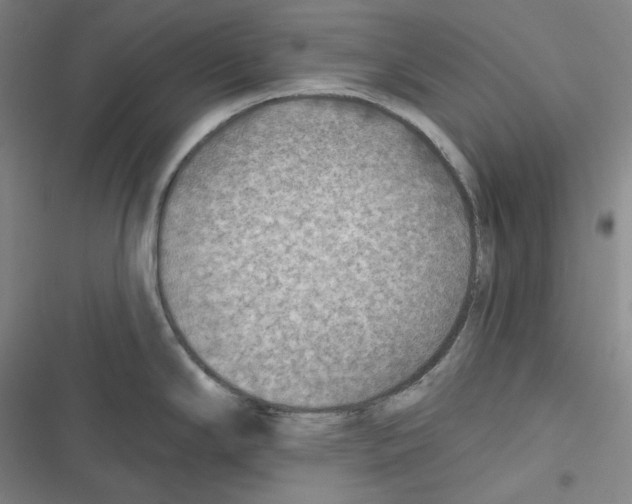 X0000116651294201001111221