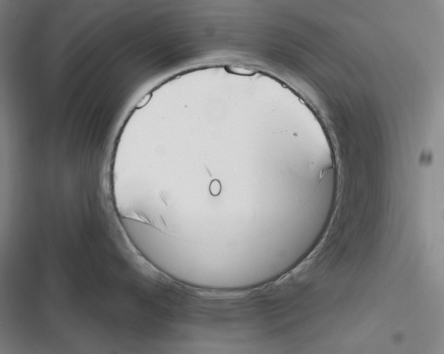 X0000116651296201001111221