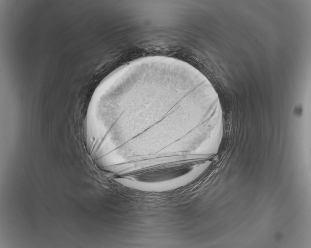 X0000116651297201001111220