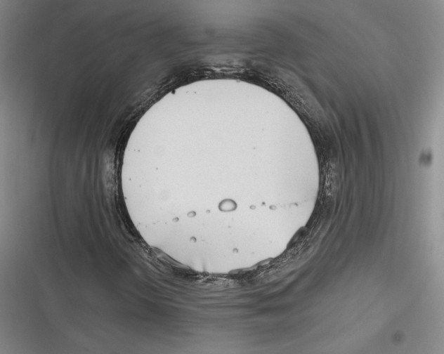 X0000116651298201001111220