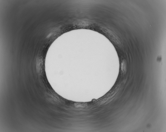 X0000116651299201001111220