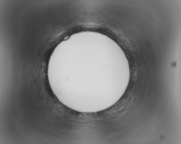 X0000116651301201001111220