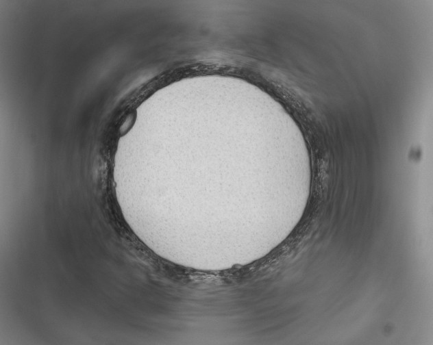 X0000116651302201001111220