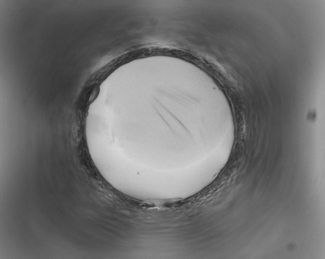 X0000116651303201001111220