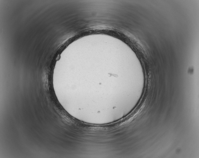 X0000116651305201001111220