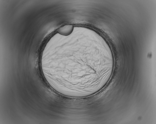 X0000116651306201001111220