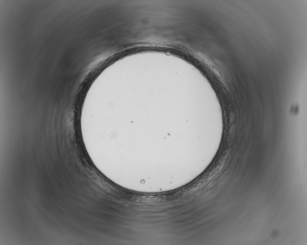 X0000116651307201001111220