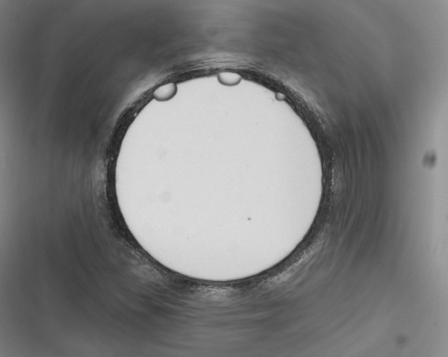 X0000116651309201001111221