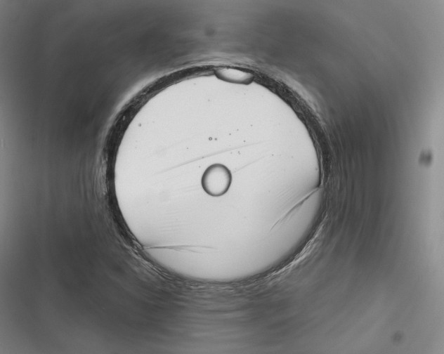 X0000116651310201001111221