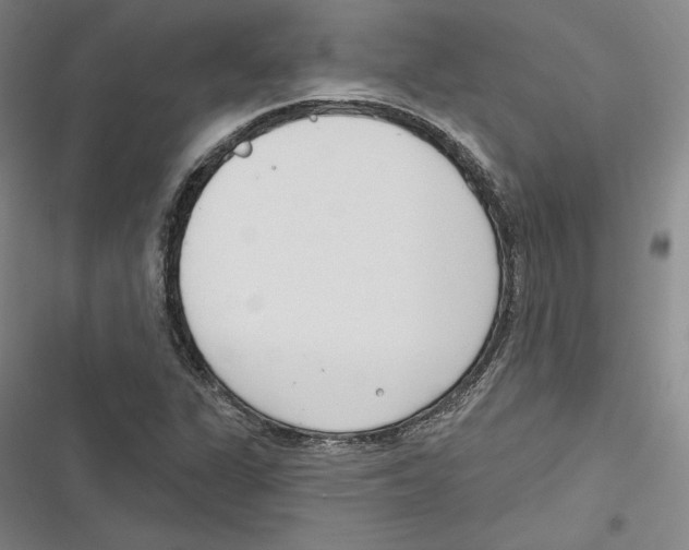 X0000116651311201001111221