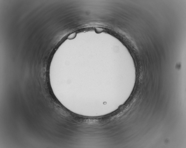 X0000116651313201001111221