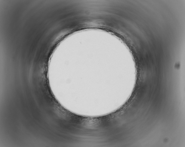 X0000116651314201001111221