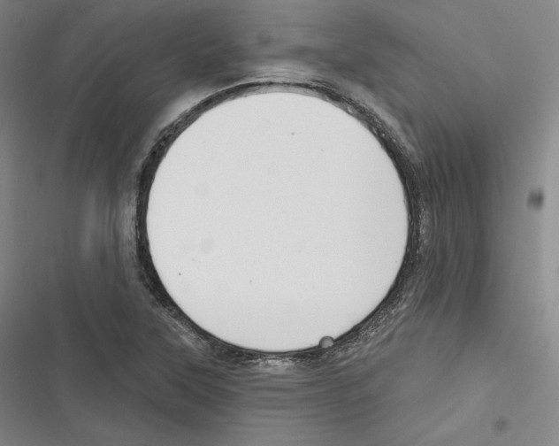 X0000116651315201001111221