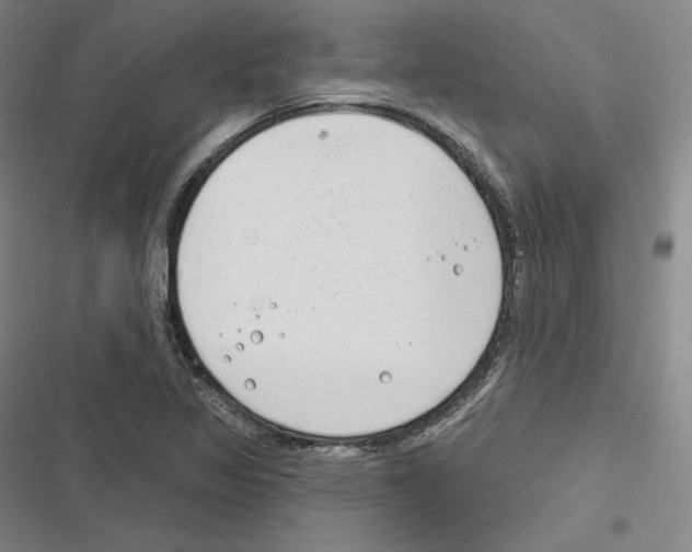 X0000116651317201001111221