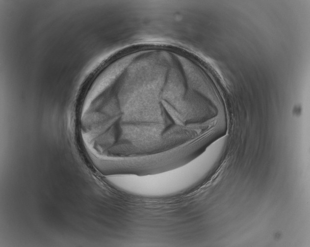 X0000116651319201001111221