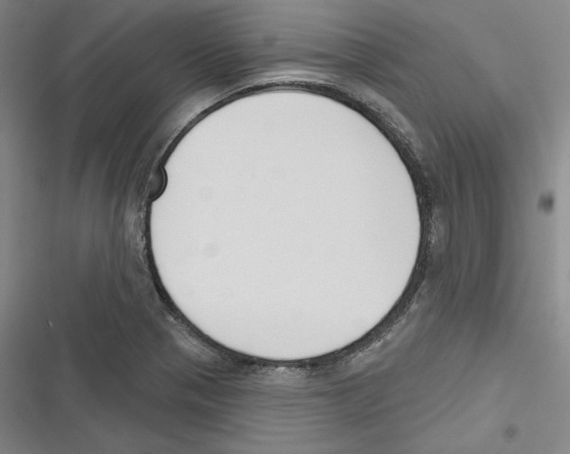 X0000116651321201001111221