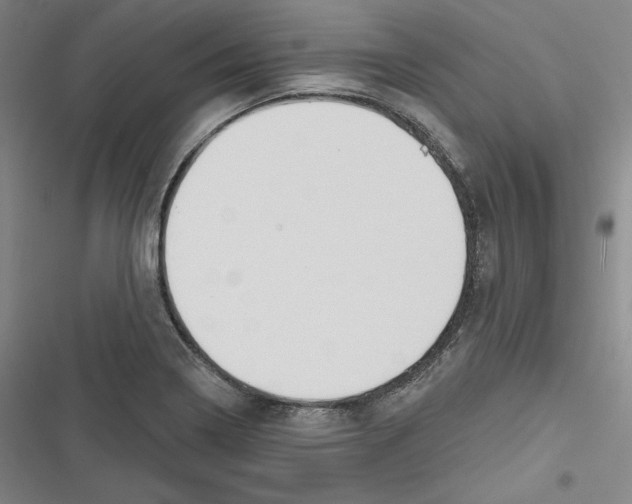 X0000116651322201001111221